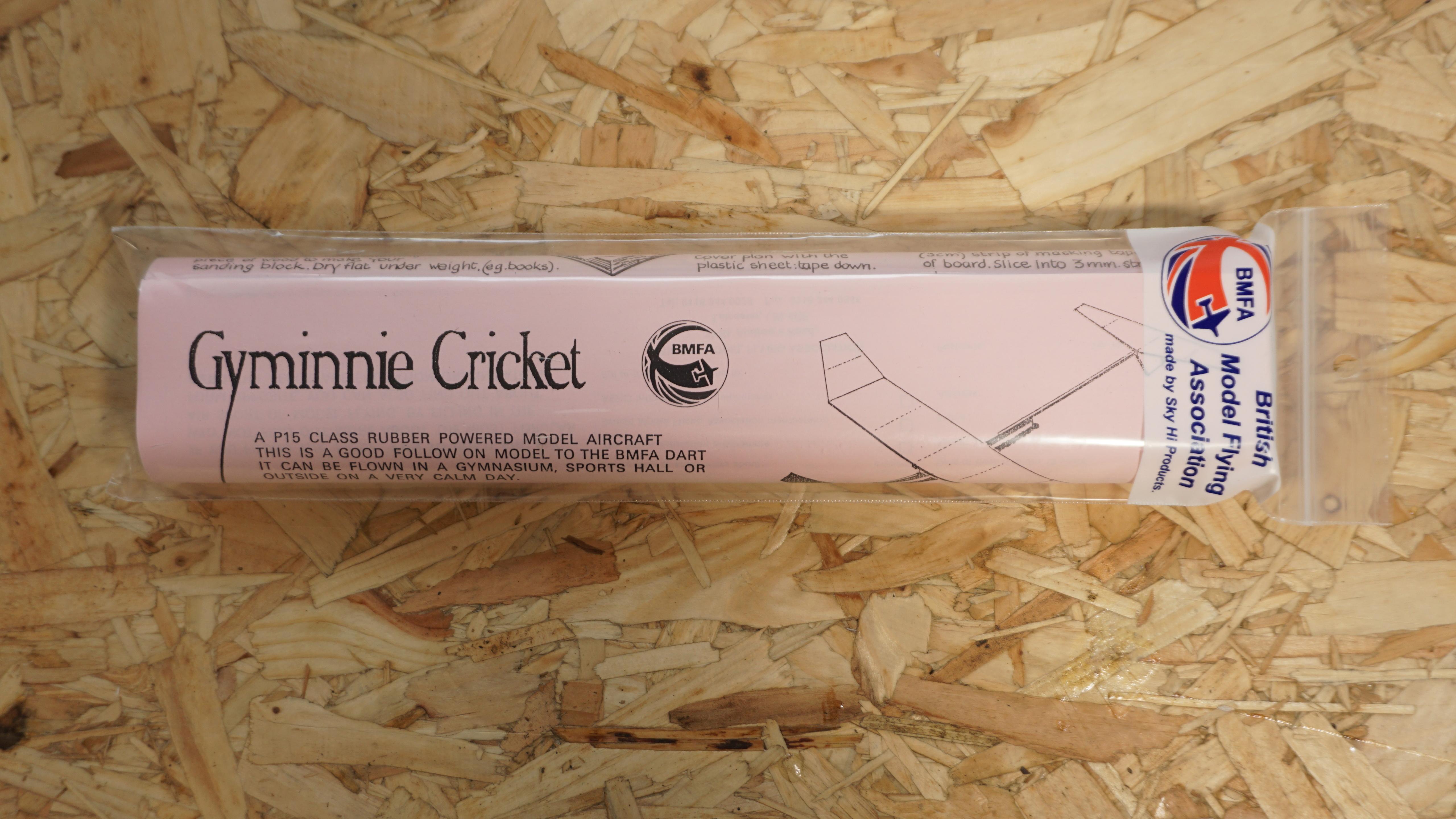 BMFA Giminie Cricket P15 Class Ruibber Powered Model