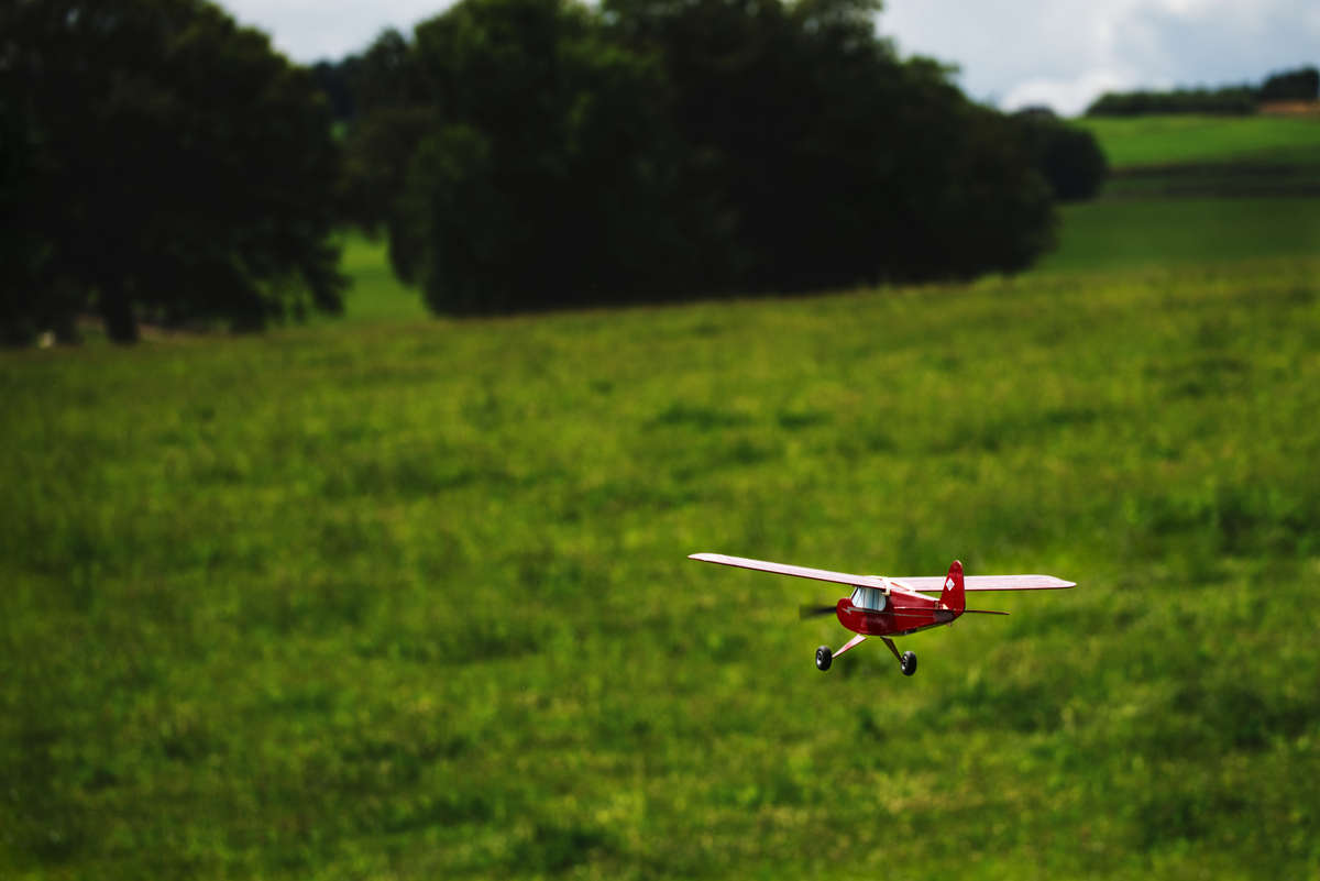 Balsa Basics Mini Cub 25 | 25